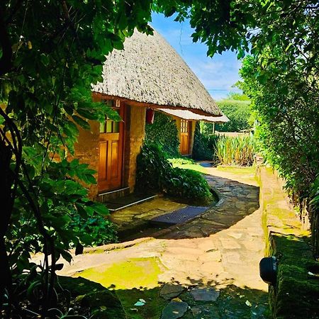 Bird Haven Guesthouse Hlotse Exterior photo
